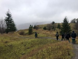 people hiking on a trail