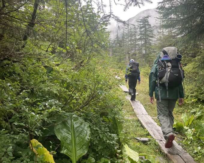 Two people walking on boards through the woods, with packs on their backs.